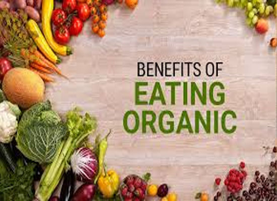 Fresh organic fruits and vegetables